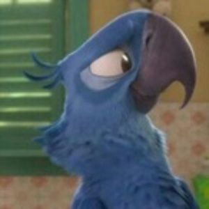 Meet your Posher, Vicente